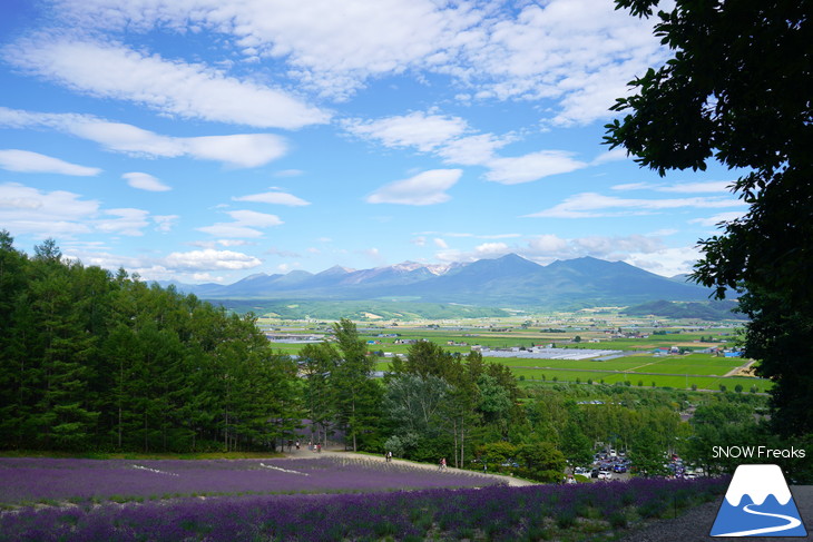 カメラを片手に夏の中富良野～上富良野・ラベンダー花畑巡り☆